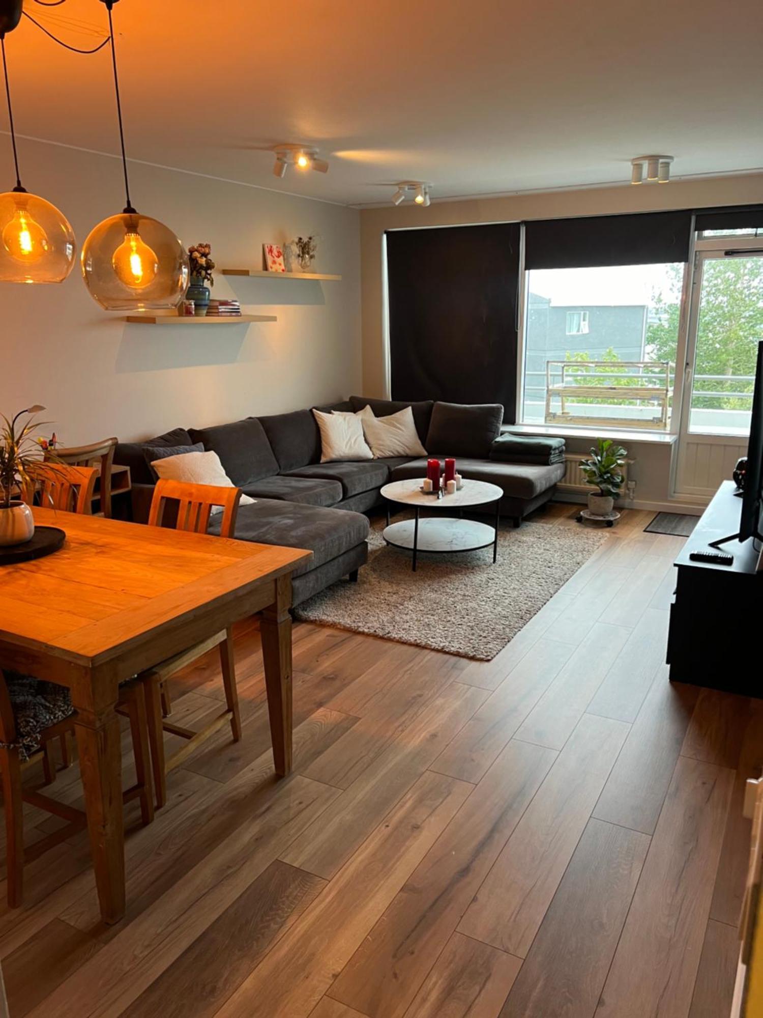Viggsson Apartment Рейкьявик Экстерьер фото